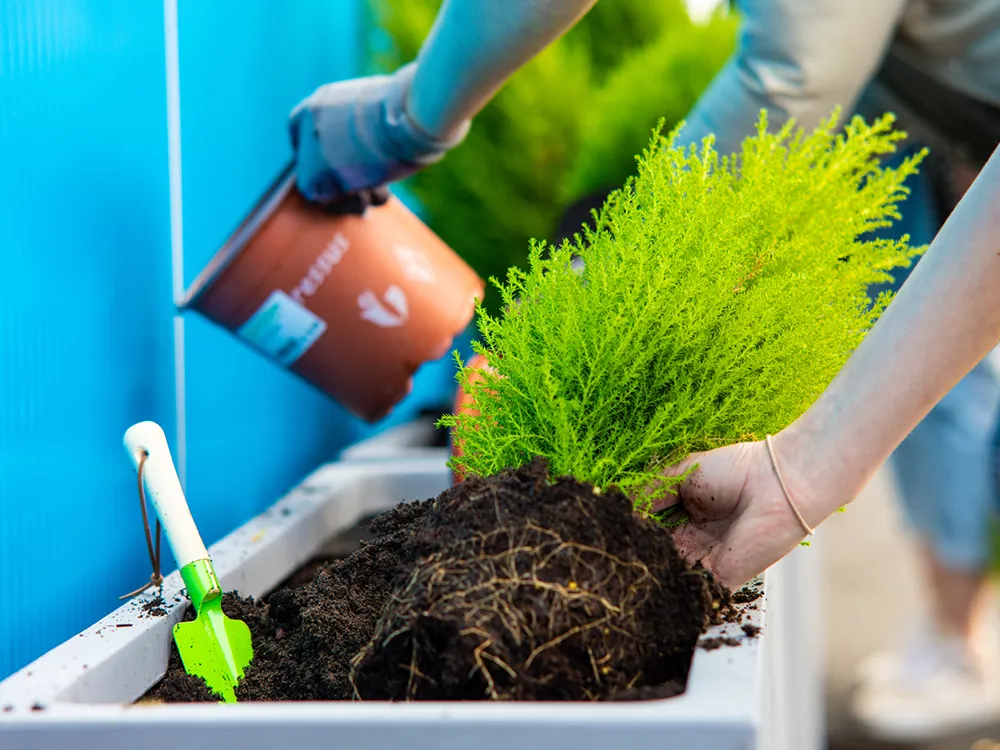 Kensa-does-gardening-6