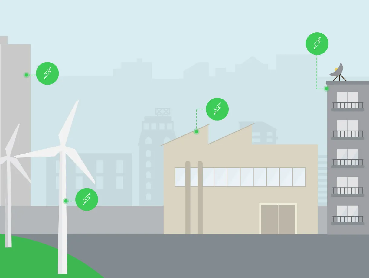 Schneider 2D Animated Videos